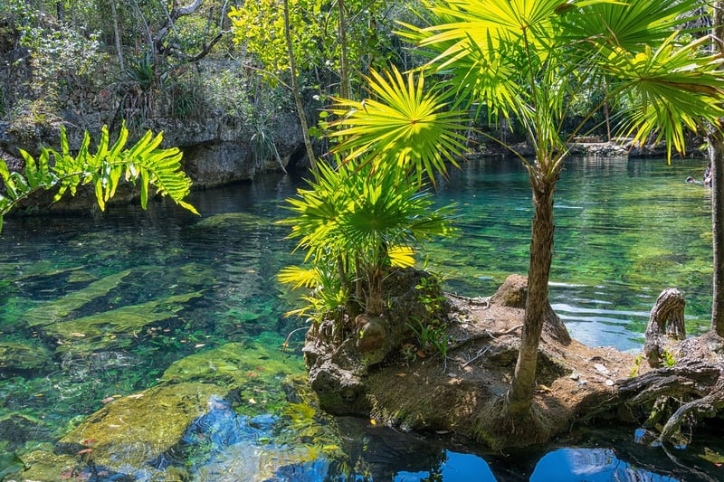 Cenotes of Yucatan Peninsula, Mexico
